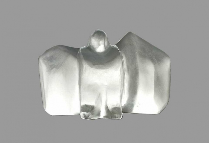 Kad porastem, poletjeti ću ... 