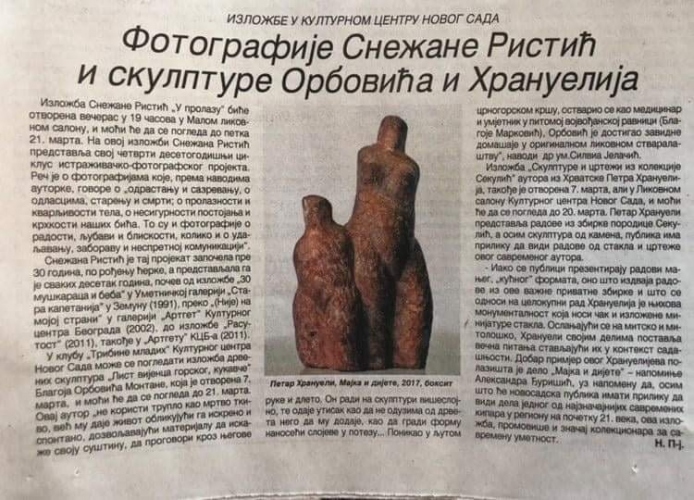 Novosadski dnevni