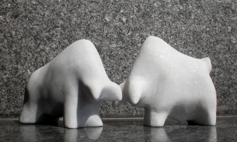 " Borba bikova" 2013.
