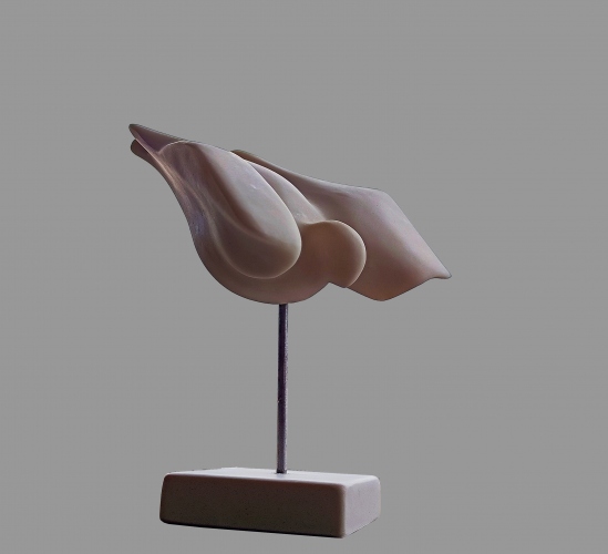 Ptica u letu