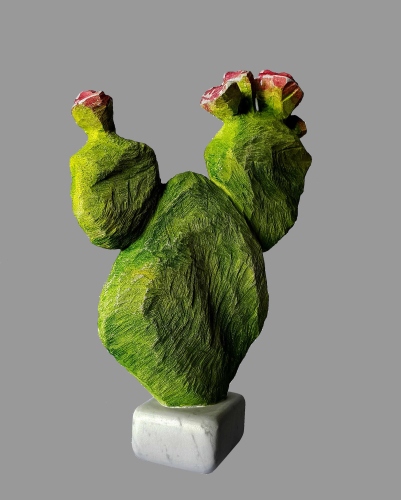Kaktus